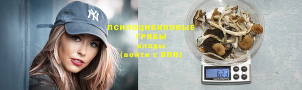 прущие крисы Абинск