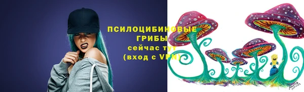 стаф Абаза